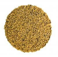 Горчица целая (50 гр.)